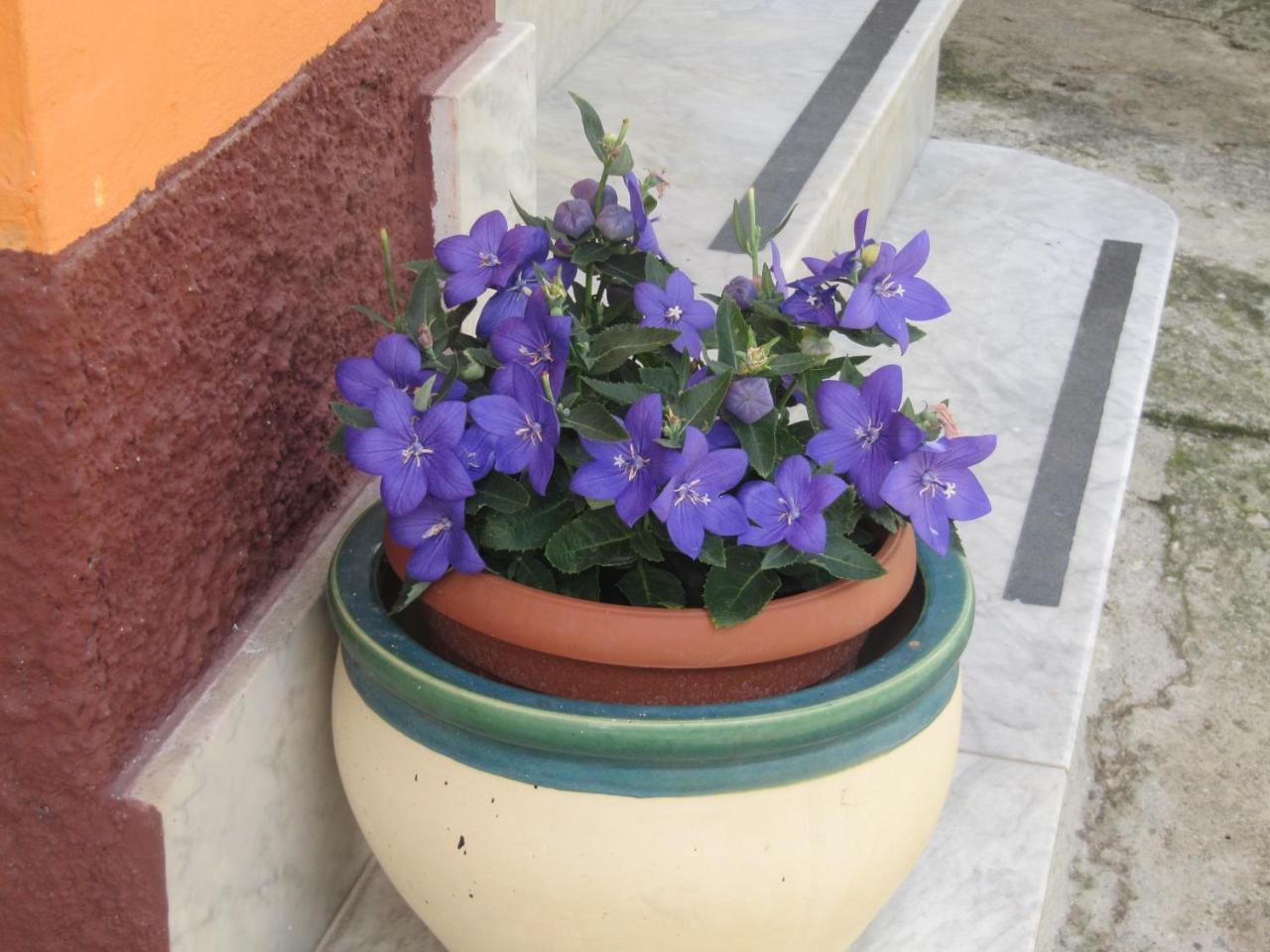 Montagne Rocciose Bed and Breakfast Frascineto Εξωτερικό φωτογραφία